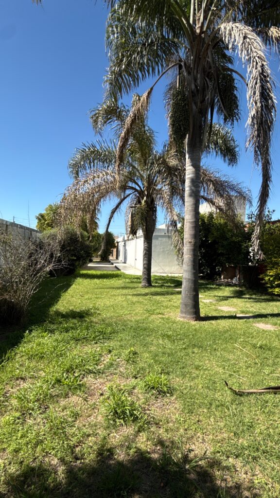 DJI_20250925_105335_083